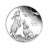 1/2 troy ounce zilveren munt Lunar 2023 proof