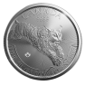 1 Troy ounce zilveren munt Lynx - Predator serie 2017