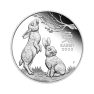 1 troy ounce zilveren munt Lunar 2023 proof