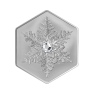 20 dollar zilveren munt Sneeuwvlok 2023 proof