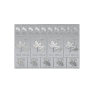 2 troy ounce zilveren munt Mapleflex (IE PRODUCT)