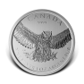 Great Owl 2015 - 1 troy ounce zilveren munt
