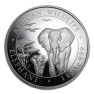 1 kilo zilveren munt Somalische Olifant