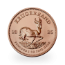 1 troy ounce gouden Krugerrand munt 2025