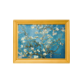 2 troy ounce zilveren munt Amandelbloesem Vincent van Gogh 2022